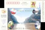 Monkey     Postal Stationery, Pre-stamped Postcard - Mono