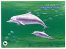 ENTIER POSTAL CHINE  STATIONERY 1ER JOUR  DAUPHIN WWF - Delfines