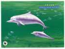 ENTIER POSTAL CHINE  STATIONERY 1ER JOUR  DAUPHIN WWF - Delfine
