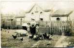 Ferme Carte Photo Non Située Fermière Enfants Basse Cour Poule Coq Cochon - - Bauernhöfe