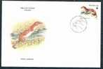 Poland 1984 Small Mammal, Wild Life, Animal FDC # 9335 - Konijnen