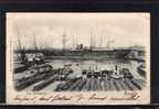 13 MARSEILLE Port, Messageries, Paquebot, Ed Marlière, 1902 - Non Classificati