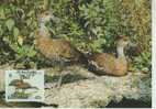 WM0190 Canard Dendrocygna Arborea Bahamas 1988 FDC Premier Jour Maximum WWF - Canards