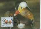 WM0191 Canard Mandarin Aix Galericulata Corée Du Nord 1987 FDC Premier Jour Maximum WWF - Entenvögel