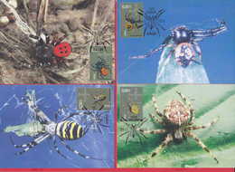 D2426 / Bulgaria Maxi Card Maximum 2005 /4695-98 FAUNA - SPIDER SPIDERS Arachnid - Insectos