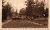 95 TAVERNY Maison De Convalescence Les Cottages Et Le Château  Beau Plan - Taverny