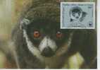WM0825 Lemur Mongoz Comores 1987 FDC Premier Jour Maximum WWF - Singes