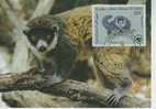 WM0826 Lemur Mongoz Comores 1987 FDC Premier Jour Maximum WWF - Monkeys