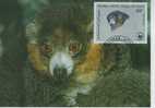 WM0827 Lemur Mongoz Comores 1987 FDC Premier Jour Maximum WWF - Singes