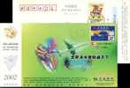 Sailing Ship Airplane Plane.  Pre-stamped Postcard, Postal Stationery - Vela