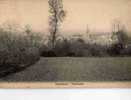 95 VIARMES Panorama  Beau Plan  1904 - Viarmes