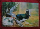 OBLITERATION OISEAU CHINE 1997 - Hoendervogels & Fazanten