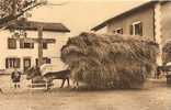 Pays Basque : BEAU PLAN ATTELAGE DE FOIN !!!!!!!! - Teams