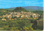 Forcalquier Vue Générale Et Cabanon Pointu - Forcalquier