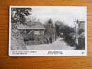 Isle Of Wight Postcard Series  403, Old SHANKLIN Church Road  C.1867  Reissued Cca 1960´s   XF   D7568 - Otros & Sin Clasificación