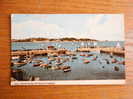 Paignton , Yacht Racing ,  Cca 1960-70  VF+  D7621 - Paignton