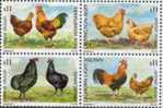 URUGUAY STAMP MNH Chicken Rooster Hen - Ferme