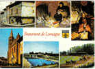 Carte Postale  82.  Beaumont-de-Lomagne  Hippodrome  La Piscine La Gaveuse D'oie La Dégoussado - Beaumont De Lomagne