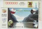 Monkey,Mapple,Waterfall,C   Hina  2002 Jiyuan Post Office Travel Service Advertising Postal Stationery Card - Scimmie