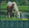 CALENDRIER ALMANACH 2006 - Big : 2001-...