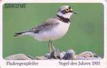 Télécarte à Puce Allemagne - ANIMAL - OISEAU PLUVIER - PLOVER BIRD Chip GERMANY - Regenpfeifer Chip TK Vogel - 01 - O-Series: Kundenserie Vom Sammlerservice Ausgeschlossen