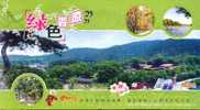 Scenery Mountain, Tree, House, Swallow  Bird,  Pre-stamped Postcard, Postal Stationery - Sonstige & Ohne Zuordnung