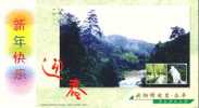 Forest Park,  Yongfeng Waterfall  Pre-stamped Postcard, Postal Stationery - Sonstige & Ohne Zuordnung