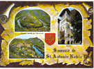 Carte Postale  82. Saint-Antonin-Noble-Val - Saint Antonin Noble Val