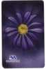 FLOWER  -  ( Bulgaria - Mobika Chip Card ) - Fleur - Flowers - Fleurs - Blumen - Tirage 100.000 Ex. - Bulgarie