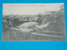 33) Blaye - Tortue Luth Pesant 500kg , Capturée Devant Blaye Le 7 Février 1904 - Carte Tres Rare   EDIT Bergon - Blaye