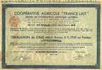 Obligation 5000 Francs FRANCE LAIT 1949 (art. N° 198 ) - Agricultura