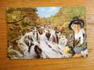 Swallow Falls Bettws-y-Coed  Wales   Cca 1960-  VF+  D9045 - Caernarvonshire