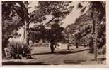 Old Postcard Of Australia - Victoria / Carte Ancienne D´Australie - Warrnambool - Altri & Non Classificati