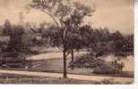 Old Postcard Of Australia - Victoria / Carte Ancienne D´Australie - Melbourne - Other & Unclassified