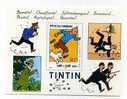 BLOC FEUILLET TINTIN MILOU DUPONT CAPITAINE HADDOCK TOURNESOL Bande Dessinee - Comics