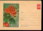 EXCELLENT Entier Postal Russe Neuf Sur Les Roses (5) - Rosas