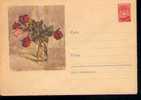 EXCELLENT Entier Postal Russe Neuf Sur Les Roses (6) - Rosas