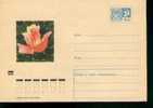 EXCELLENT Entier Postal Russe Neuf Sur Les Roses (8) - Roses
