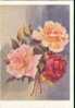 Bel Entier Carte Postale Russe Sur Les Roses (12) - Roses