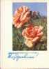 Bel Entier Carte Postale Russe Sur Les Roses (14) Entier De Voeux - Roses