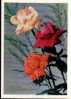 Bel Entier Carte Postale Russe Sur Les Roses (34) Carte De Voeux - Roses