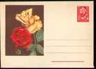 Magnifique Entier Postal Roumain Sur Les Roses - Rozen