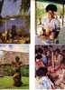 Cartes De L´ile De Fidji - Fiji Island Postcards - Figi