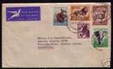 FAUNA - SOUTH AFRICA VF 1957 AIR MAIL FAUNA COVER STELLENBOSCH  To ARGENTINA - Elefanten