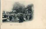 19 - CORREZE - USSEL - AGRICULTURE - ELEVAGE- MARCHE Aux BESTIAUX - COCHON - BOEUF - MOUTON - CLICHE CHAPUIS 1900 - RARE - Ussel