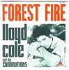 LLOYD  COLE   °   DOWN  TOWN - Other - English Music