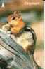 SINGAPORE $10  CHIPMUNK  ANIMAL  ANIMALS  WILD LIFE CONSERVATION CODE: 1SANA  SN MEDIUM SOLD AT PREMIUM READ DESCRIPTION - Singapore