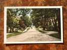 Waldoboro Main Street , Maine Cca 1930-40´s  EF  D9892 - Andere & Zonder Classificatie