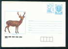 Uco+cq Bulgaria PSE Stationery 1991 Animals DEER  Mint / Post Dove Mint/6356 - Animalez De Caza