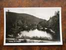 Triberg Der Bergsee Foto-AK ,  Ca 1930-40's  VF   9977 - Triberg